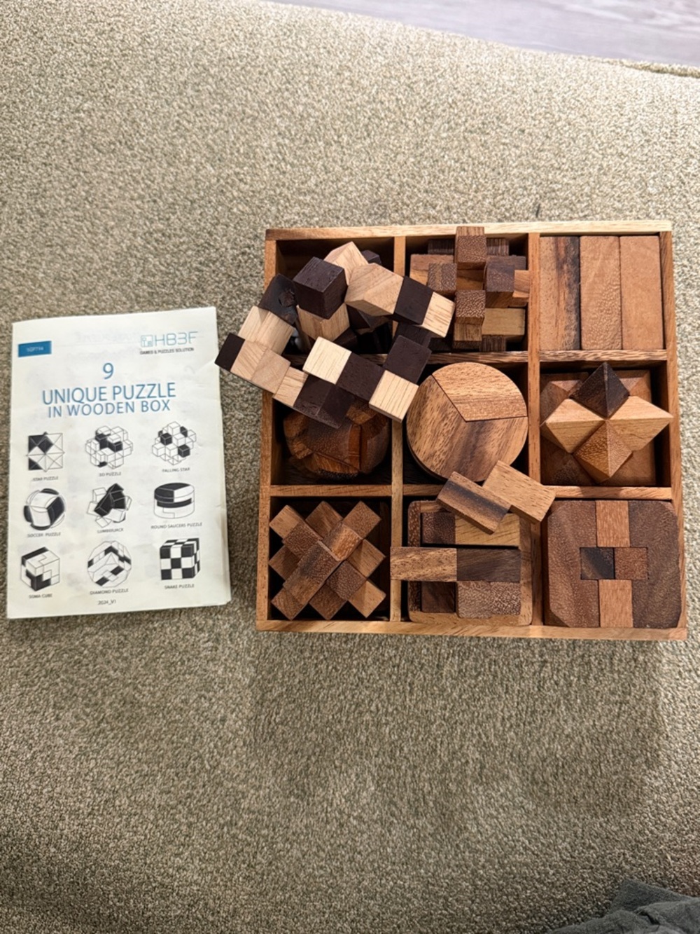 9-Piece Wooden Brain Teaser Puzzle Set